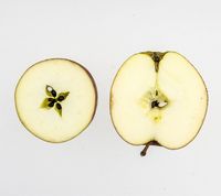 Karen Hanses æble 2